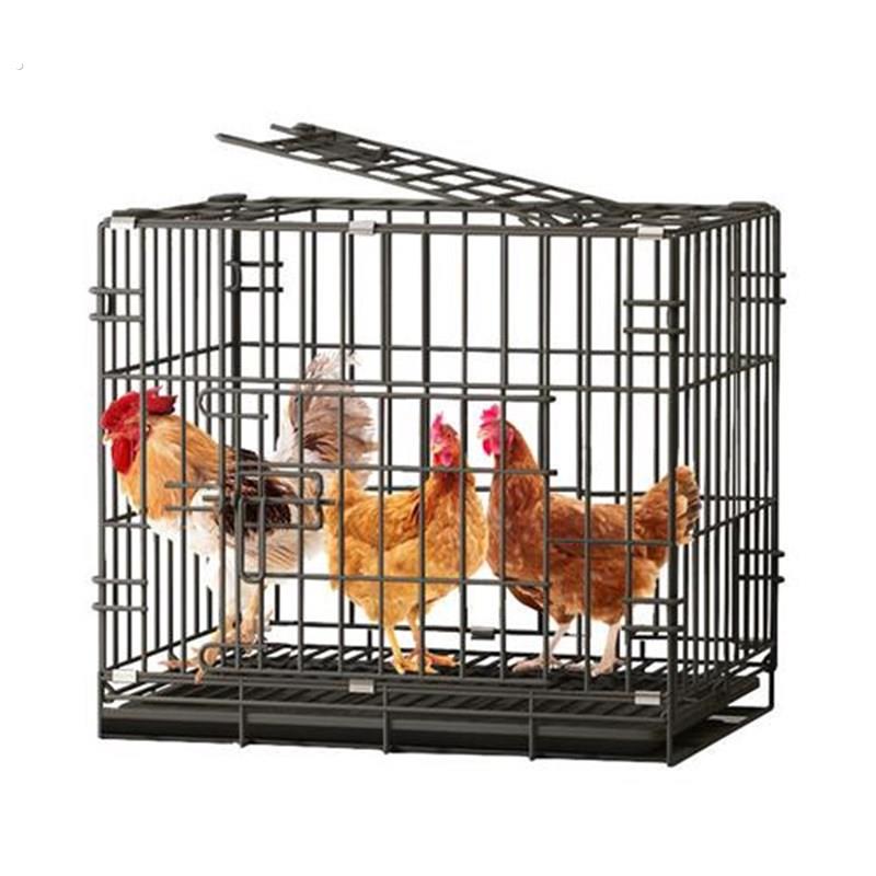 鸡笼子家用养鸡笼大号特大号自动清粪折叠养殖笼鸡舍铁丝网鸭鹅笼