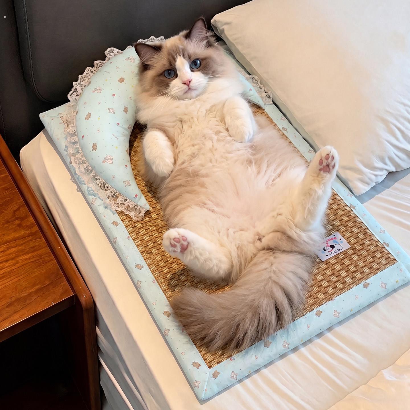 宠物冰垫小猫咪狗狗专用凉席凉垫夏天睡觉垫子藤编防撕咬夏季冰窝图片