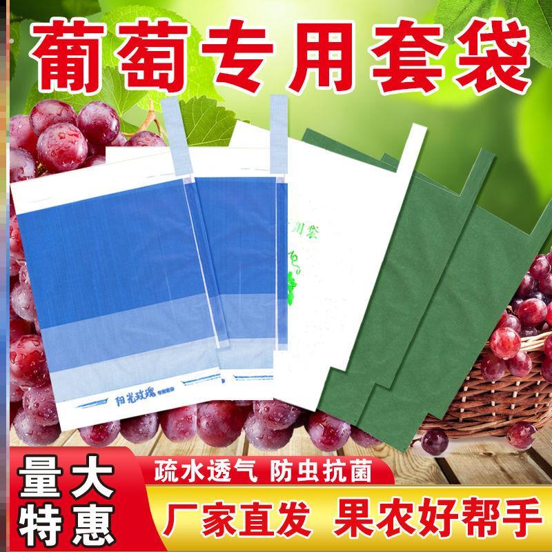 加厚葡萄专用套袋阳光玫瑰绿色三色袋防水防雨防虫防鸟育果纸袋