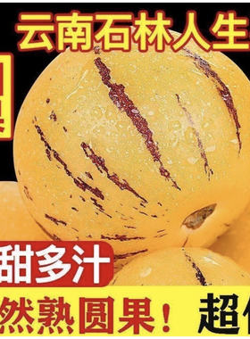 云南人参果新鲜水果现摘现发孕妇当季水果黄心圆果超甜批发价