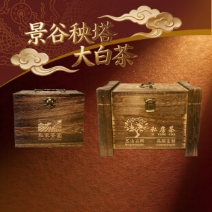 寻茶古御景谷秧塔大白茶白毫银针云南景谷县珍稀大叶种白茶纯芽头
