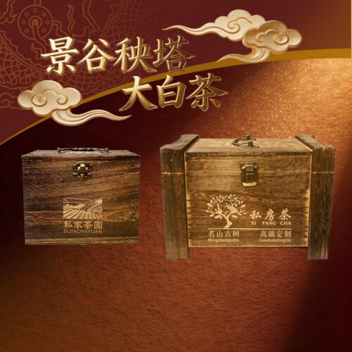 寻茶古御景谷秧塔大白茶白毫银针云南景谷县珍稀大叶种白茶纯芽头