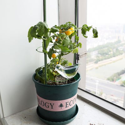 植物爬架 爬藤架 丝瓜架豆角架子黄瓜瓜架家用户外阳台花月季绿萝