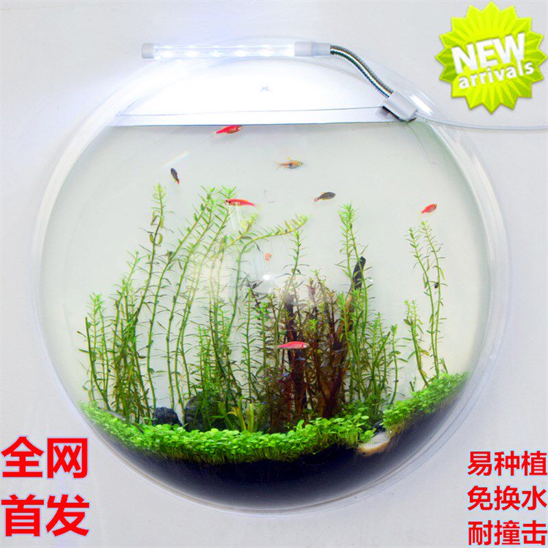 特色小型迷你水族箱亚克力挂壁饰鱼缸办公室客厅壁挂水培草缸花瓶