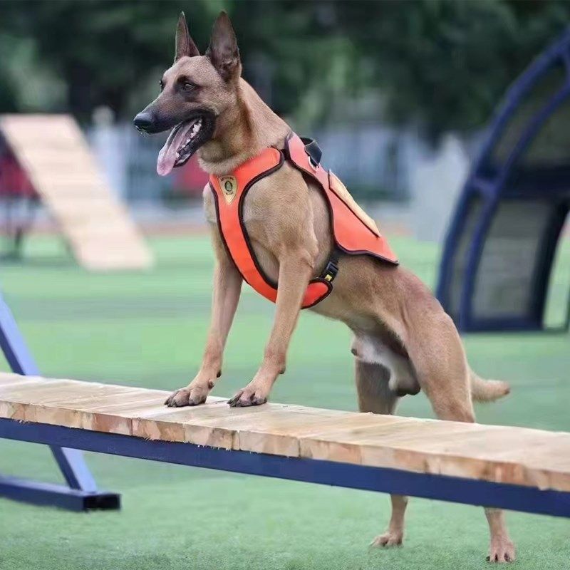 牵引作战服工作犬消防搜救背心宠物狗狗马犬胸抱婴袋衣服德牧马甲