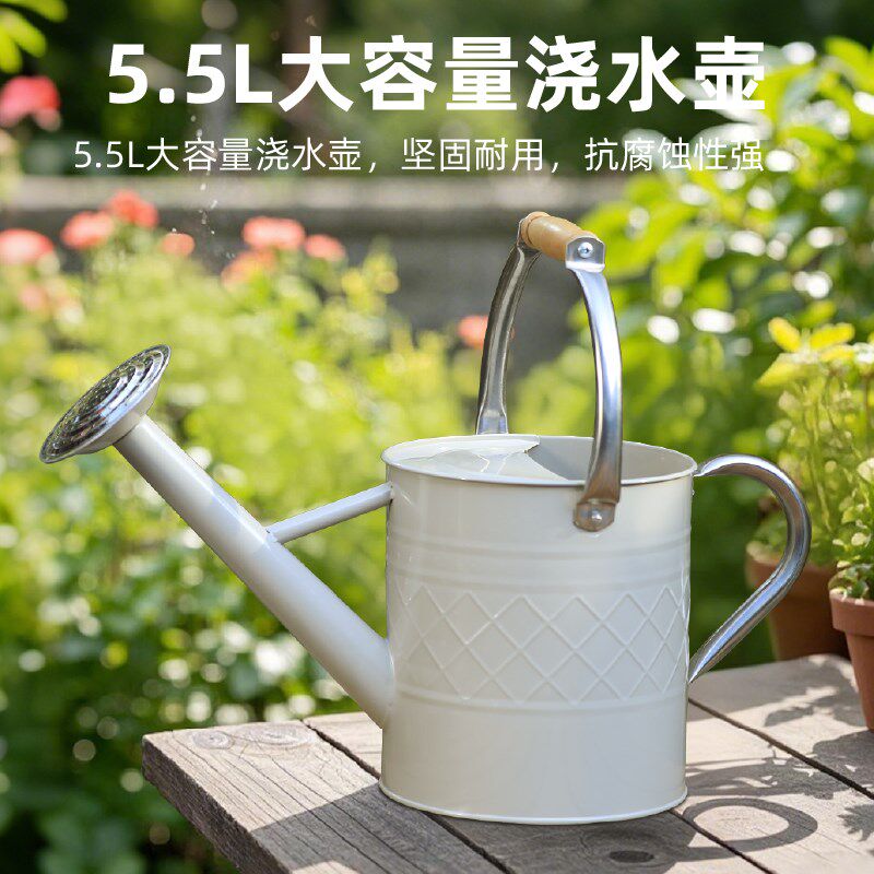 出口欧美两用铁洒水壶浇花家用种菜养花大号浇花壶大容量园艺喷壶