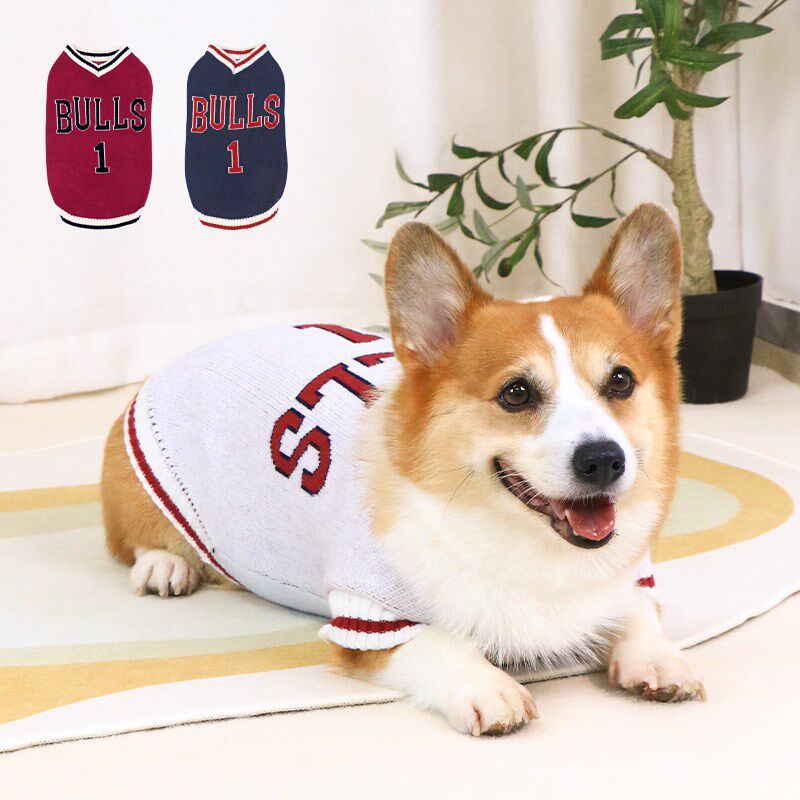宠物狗狗秋冬衣服毛衣背心保暖泰迪柯基冬季小型犬中型犬2024新款
