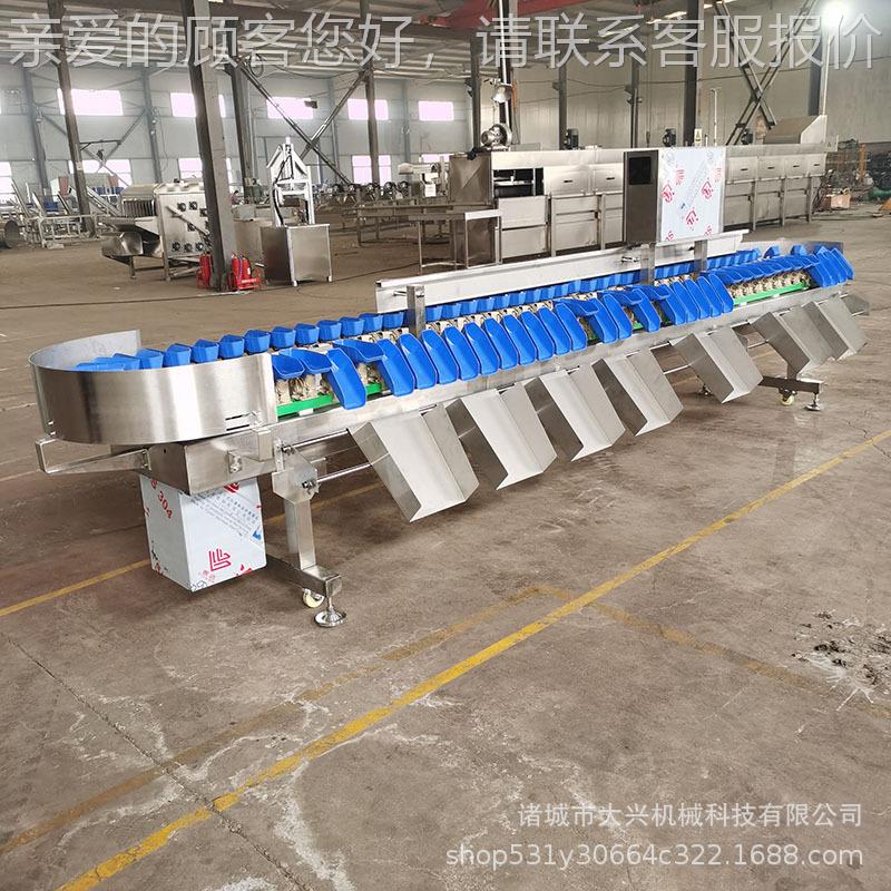 杨梅葡萄果虾筛选 鸡爪龙称重机分级机 料盒蔬式WGZ生蚝称重分选