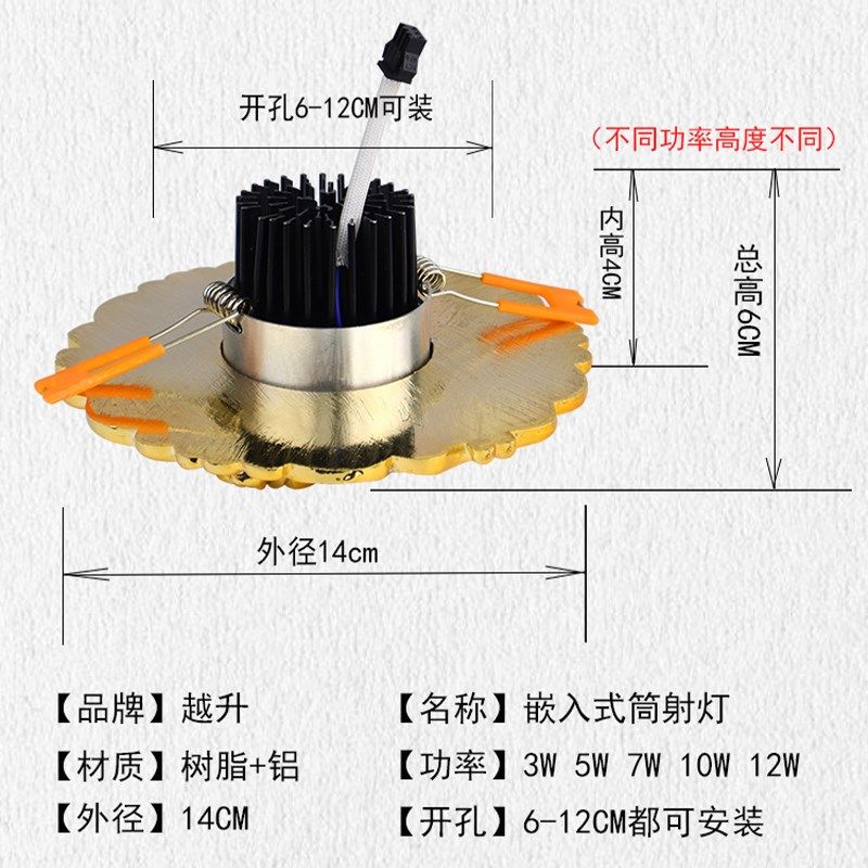 欧式大号LED筒灯开孔6-12公分客厅吊顶嵌入式可调角度射灯猫眼灯