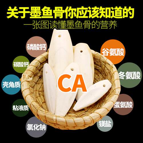 爬行天下墨鱼骨补钙营养钙砖预防喙增生补钙饲料半水龟蜥蜴用品
