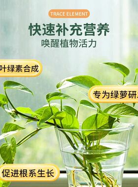 绿萝营养液专用肥料家用植物盆栽吊兰水培通用型绿箩营业液叶面肥