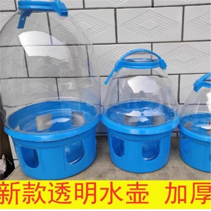 鸽子饮水水壶自动喂水器 信鸽赛鸽 鸟类喂水水槽 鸟水壶鸽子用品