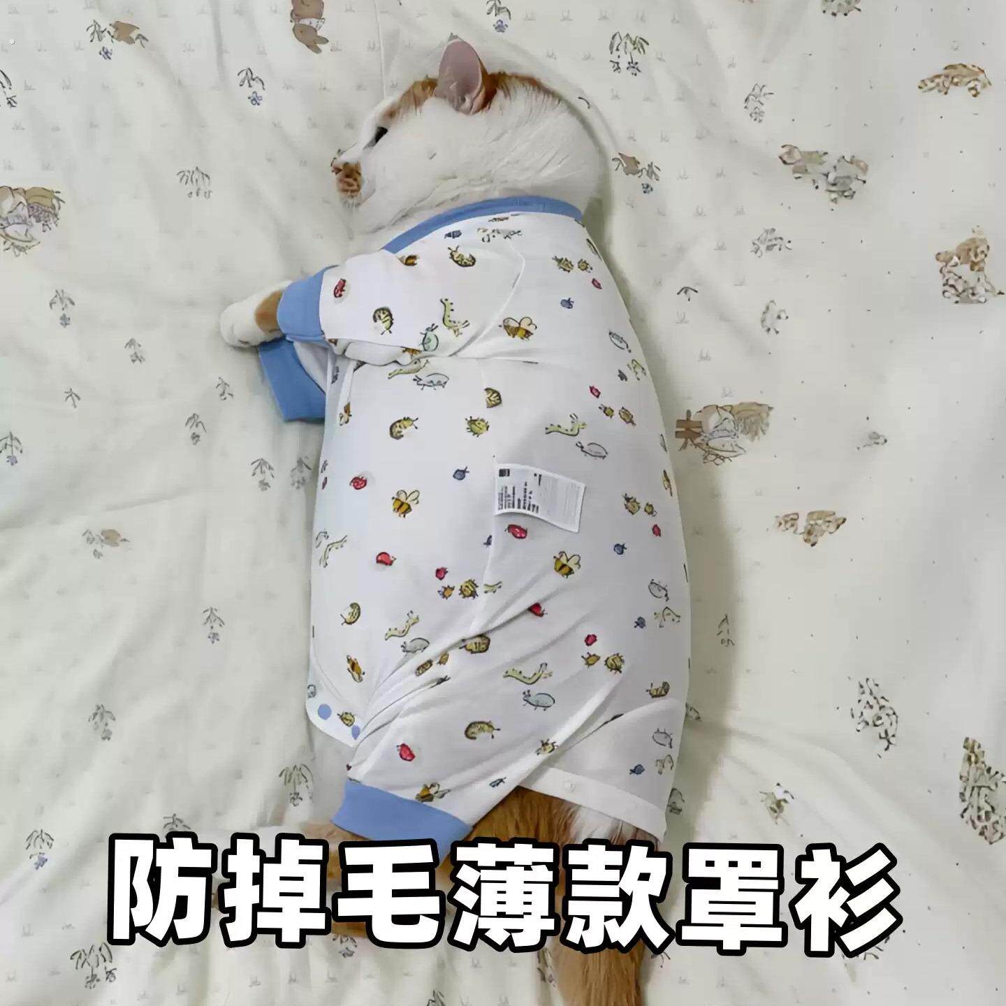 猫咪衣服防掉毛薄款夏季背心款狗狗清凉透气防晒衫宠物凉凉家居服