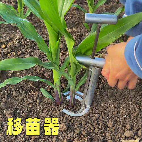 移苗栽苗器不锈钢移栽神器种菜打孔器秧苗泥土打洞器玉米起苗工具
