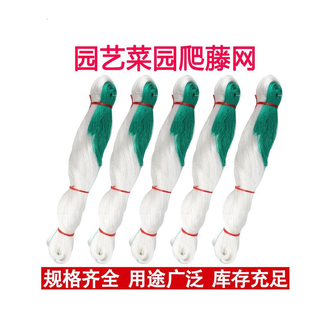 植物爬藤网种瓜豆角吊瓜丝瓜苦瓜黄瓜百香果专用网种植攀爬农用网