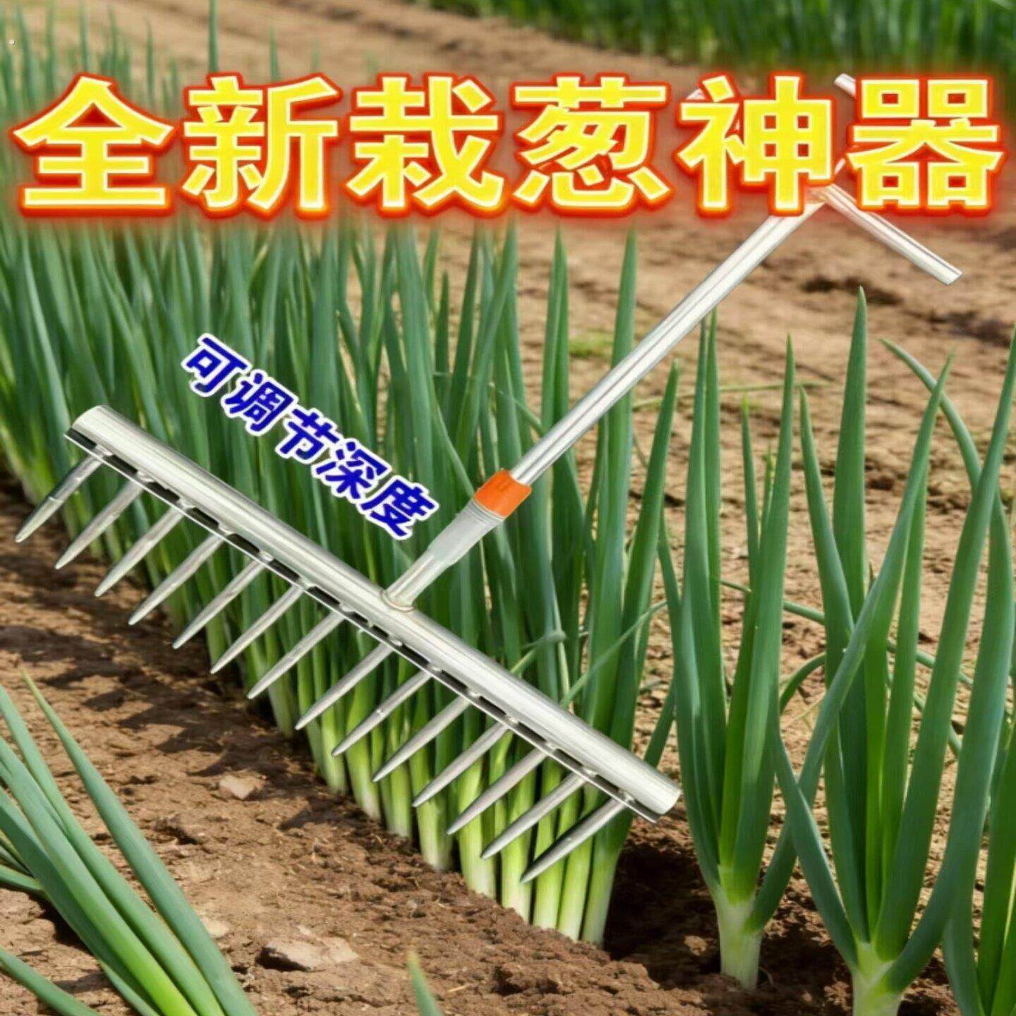 栽葱神器葱种植移栽移苗器洋葱栽苗器自动打孔种菜工具种葱专用