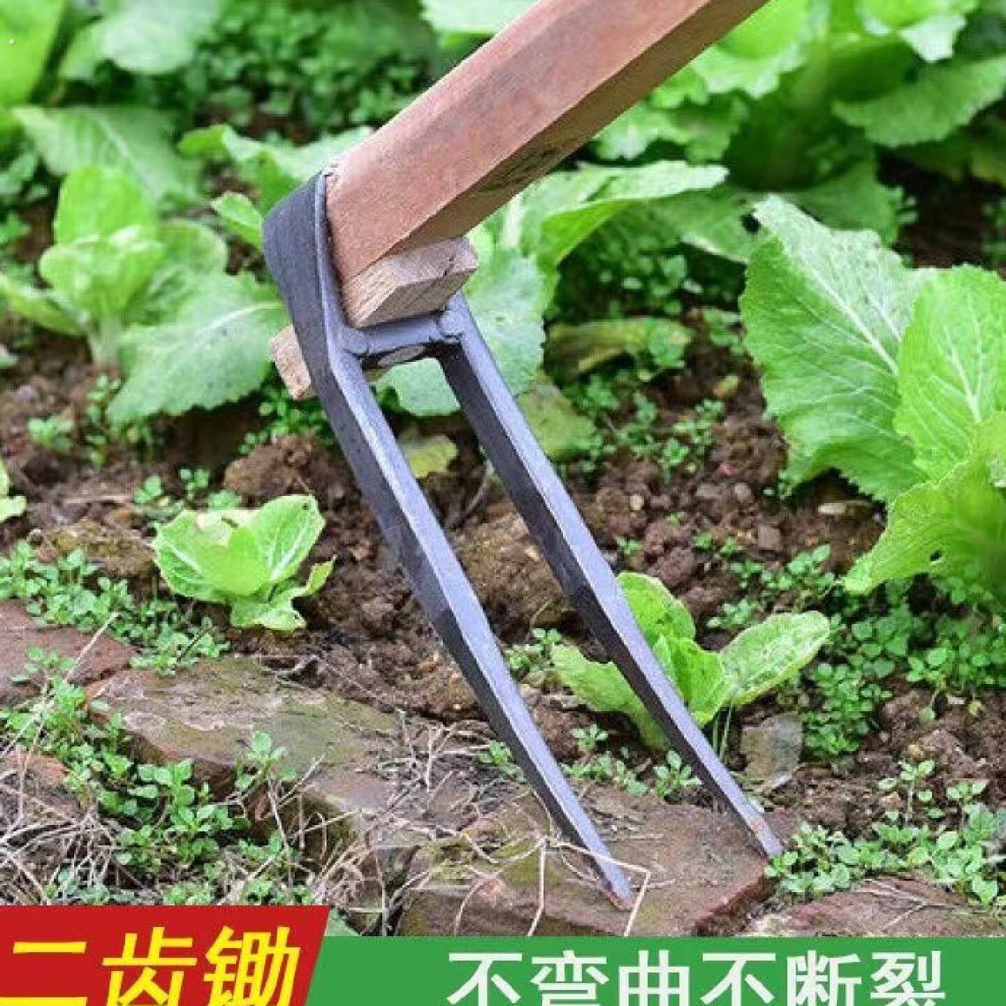 农用手工锻打锄头翻地松土工具种菜家用挖地多功能锰钢二齿锄耙子