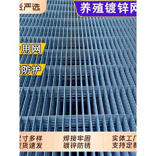 长孔镀锌铁丝网片狗笼鸽舍围栏踏网热镀锌养殖钢丝网加粗加密网格