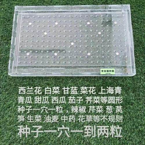 育苗盘播种器播种机穴盘播种器漂浮盘播种器播种神器播种机点种器