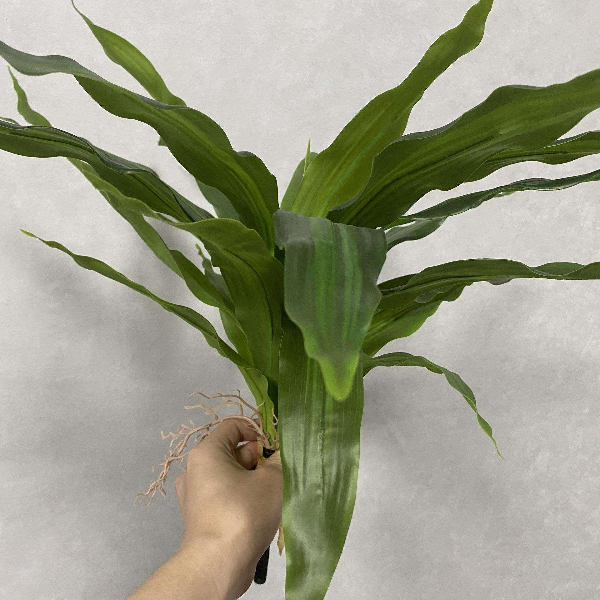 跨境真巴西木巴西铁绿植叶子插支室内房间桌面餐桌摆件植物