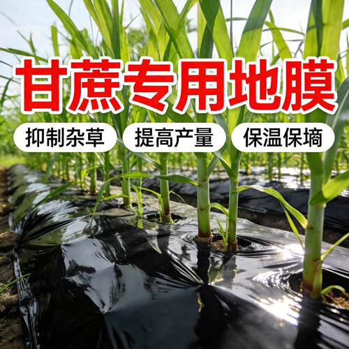 甘蔗专用地膜种菜加厚农用种植塑料薄膜防草布除草保温膜地钉