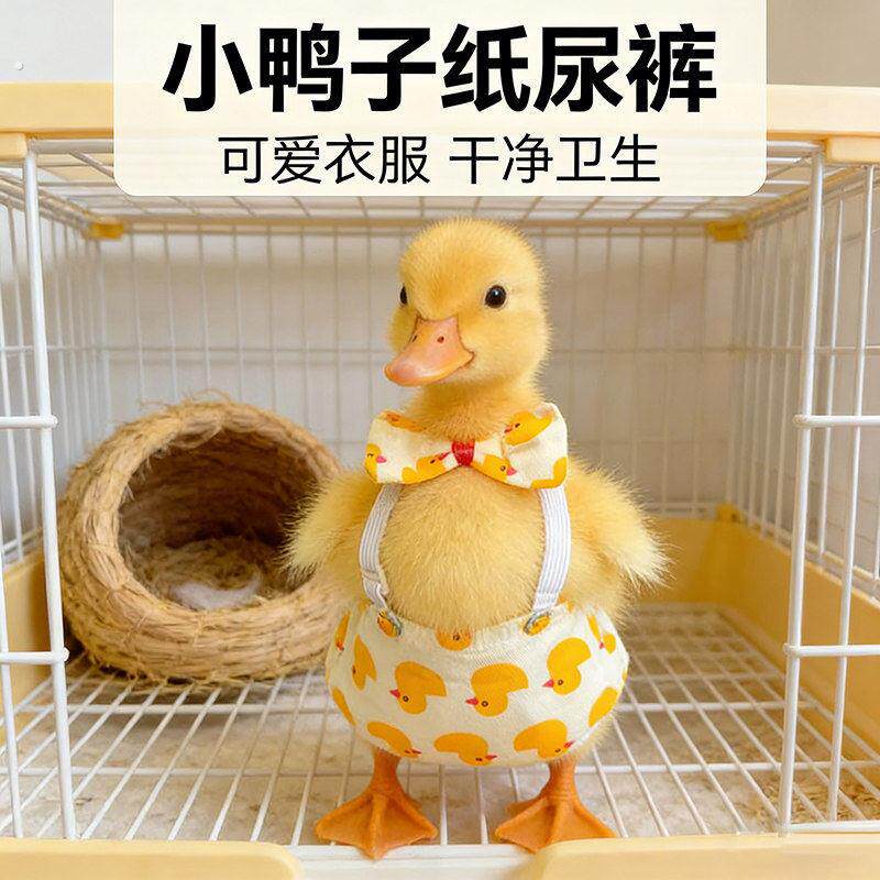 小鸭子专用屎兜穿的可爱衣服防止乱拉尿柯尔鸭鸡屎尿屁股兜尿不湿