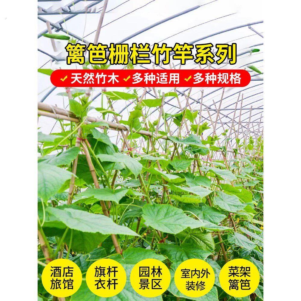 精选100根竹竿菜园搭架防腐小细竹杆棍旗杆黄瓜豆角爬藤菜架