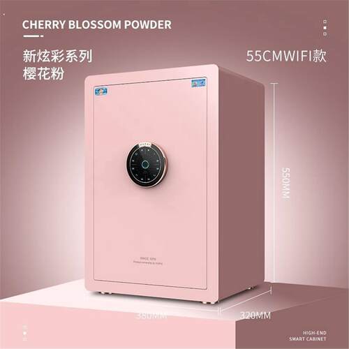 2025年新型保险柜放在衣柜里的家用迷你小型防盗箱密码钥匙办公室