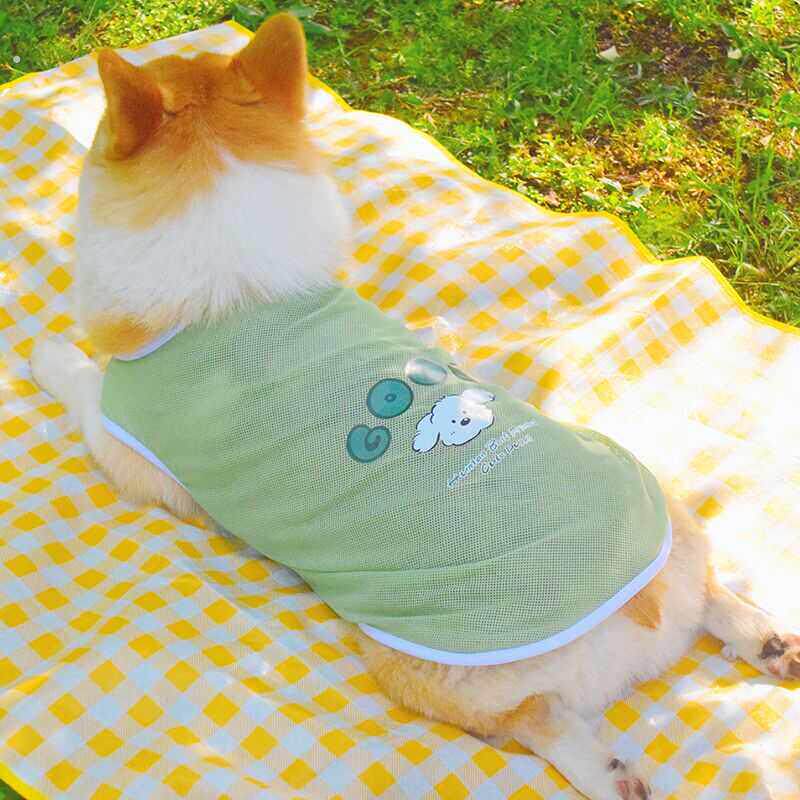柴犬柯基泰迪中小型狗狗衣服夏天薄款背心防掉毛防晒防脏宠物马甲