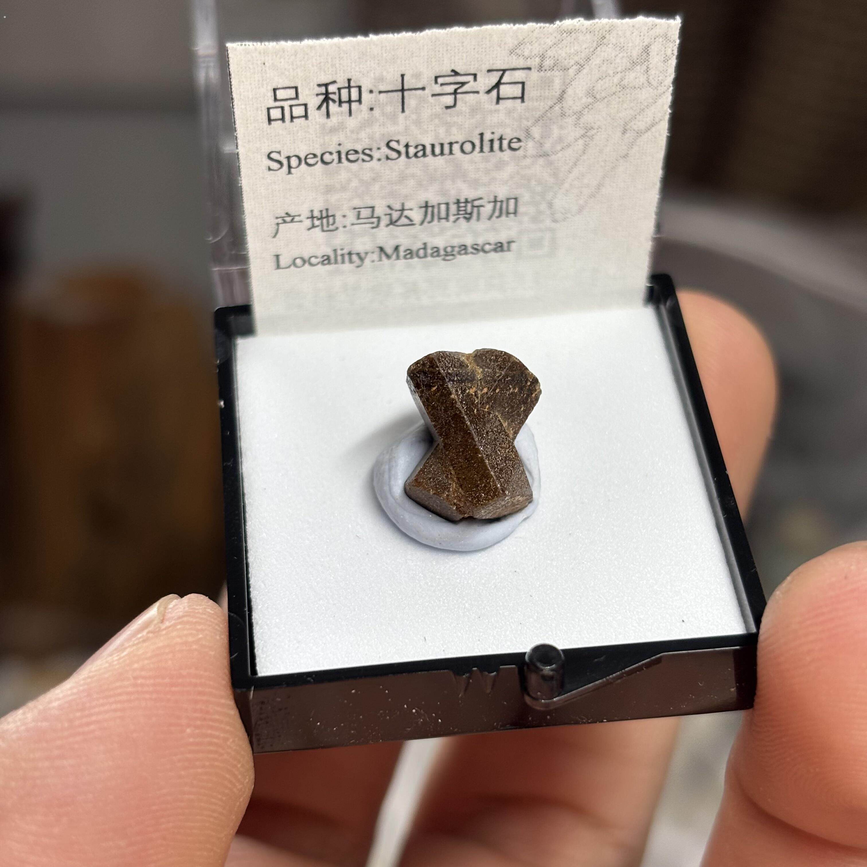 十字石天然矿物晶体标本盒子矿猫矿石原石宝石能量石晶石教学