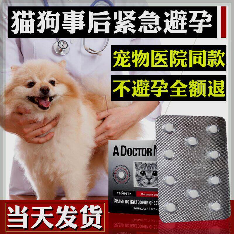 防母狗事紧孕狗狗交配育宠物母猫咪孕后土狗避流浪猫狗吃急