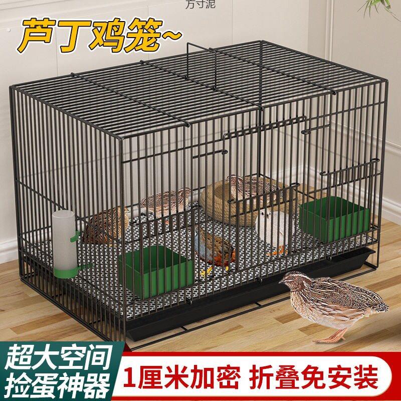 芦丁鸡专用养殖笼子家用加密大号芦丁鸡铁丝笼小鸡小鸭子鹌鹑
