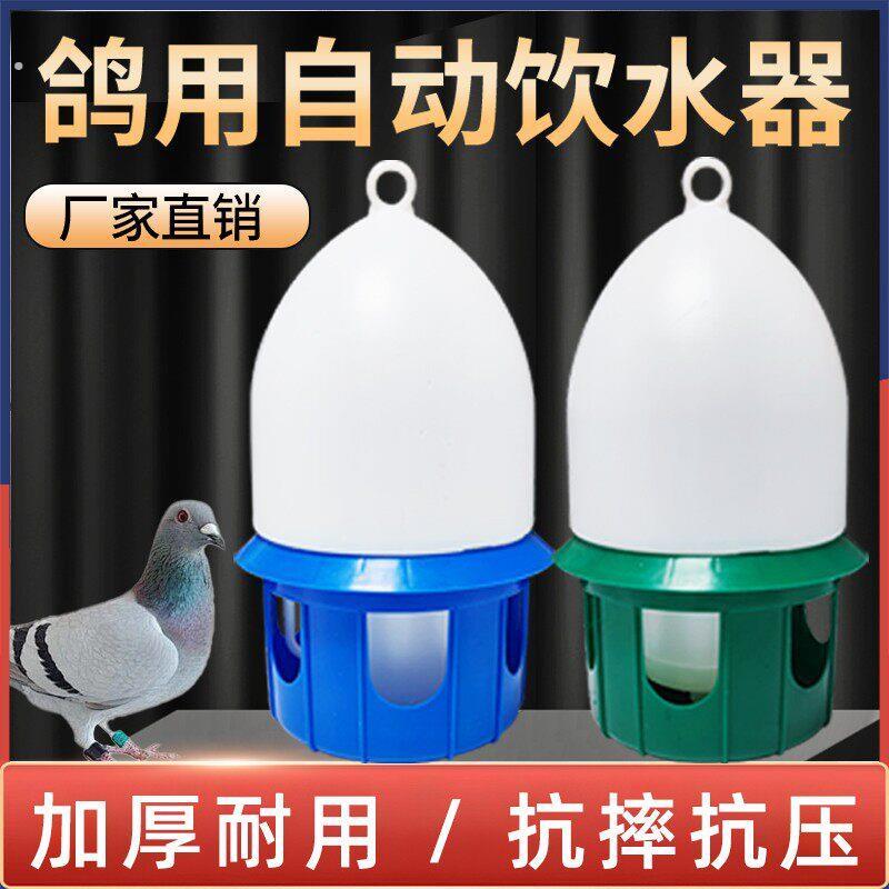 鸽子水壶自动饮水器家禽养殖喝水槽自动饮水器喂水壶养鸽设备专用