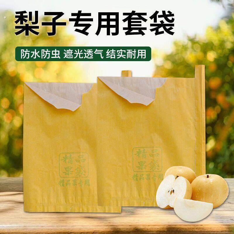 翠冠梨专用套袋红香酥梨袋绿梨专用果袋纸玉露香梨袋防虫防鸟套袋