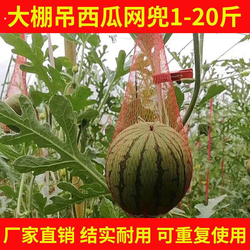 吊西瓜专用套袋甜瓜哈密瓜束口挂绳网兜纱袋防虫塑料袋子大棚瓜托