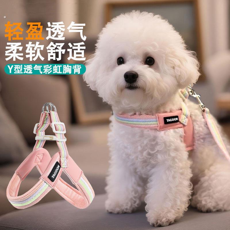 狗狗伸缩牵引绳胸抱婴袋夏季透气不勒脖小型犬宠物遛狗项圈绳子狗