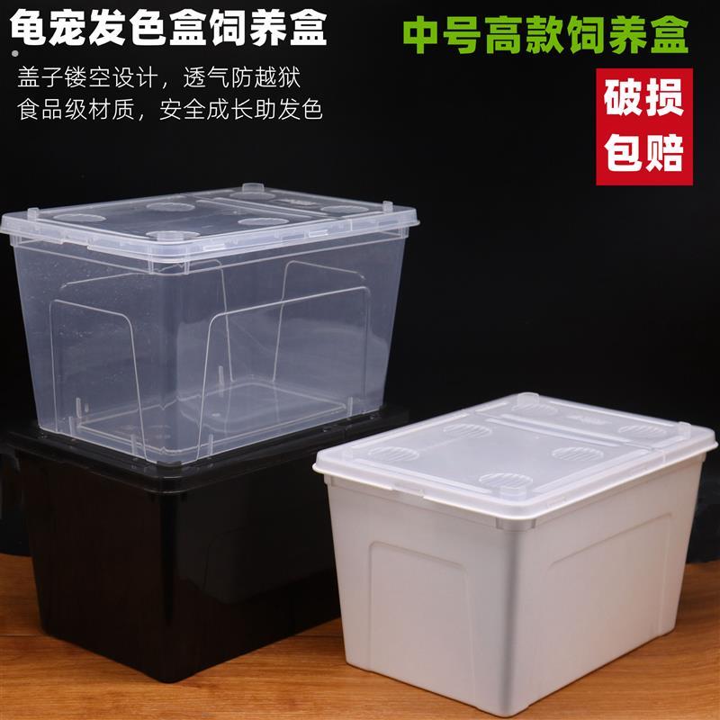中号高款爬虫饲养盒不带孔乌龟饲养箱带盖爬宠箱宠物蜘蛛蝎子守宫
