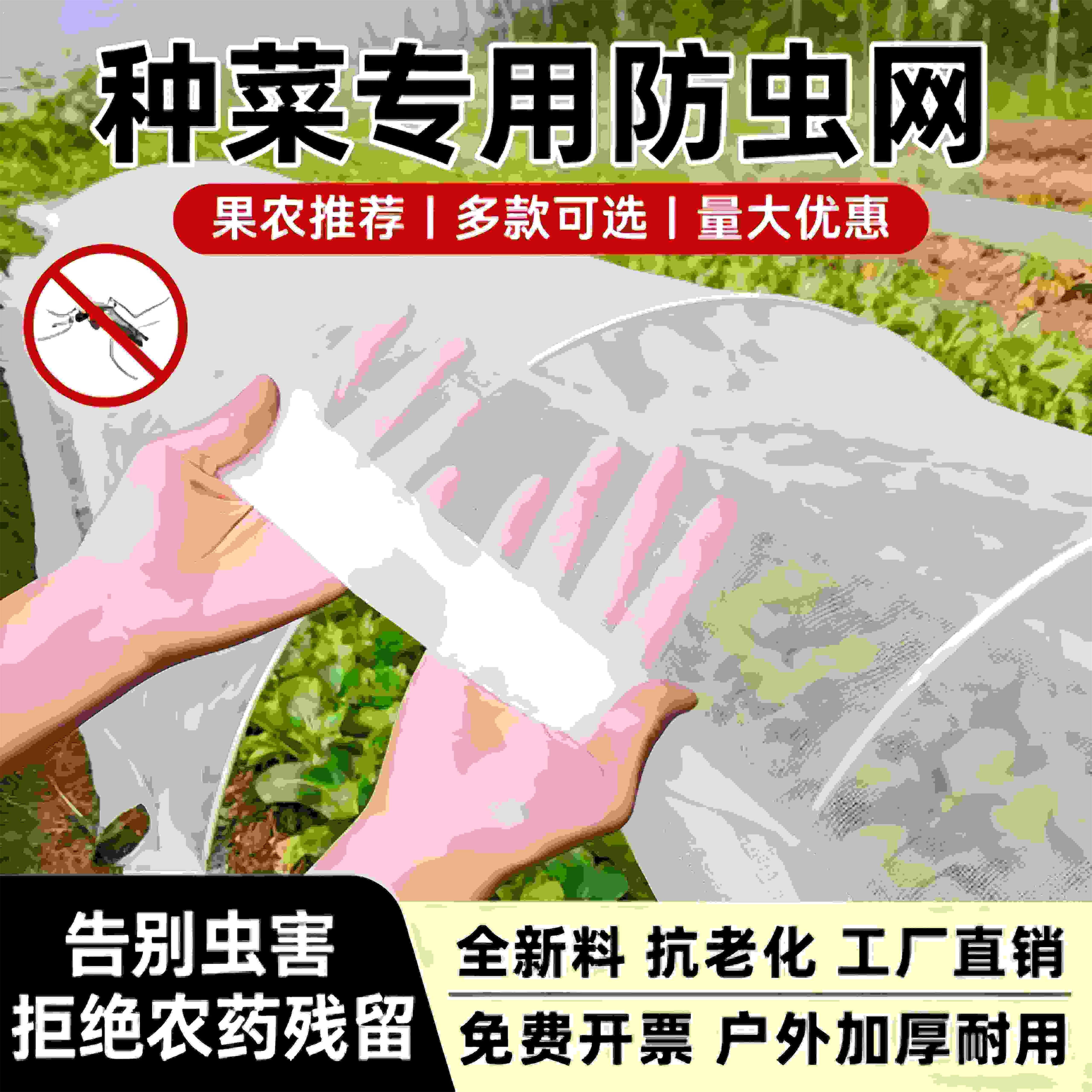 防虫网种菜专用温室大棚尼龙网防护网防鸟罩菜园蔬菜网罩菜地防蚊