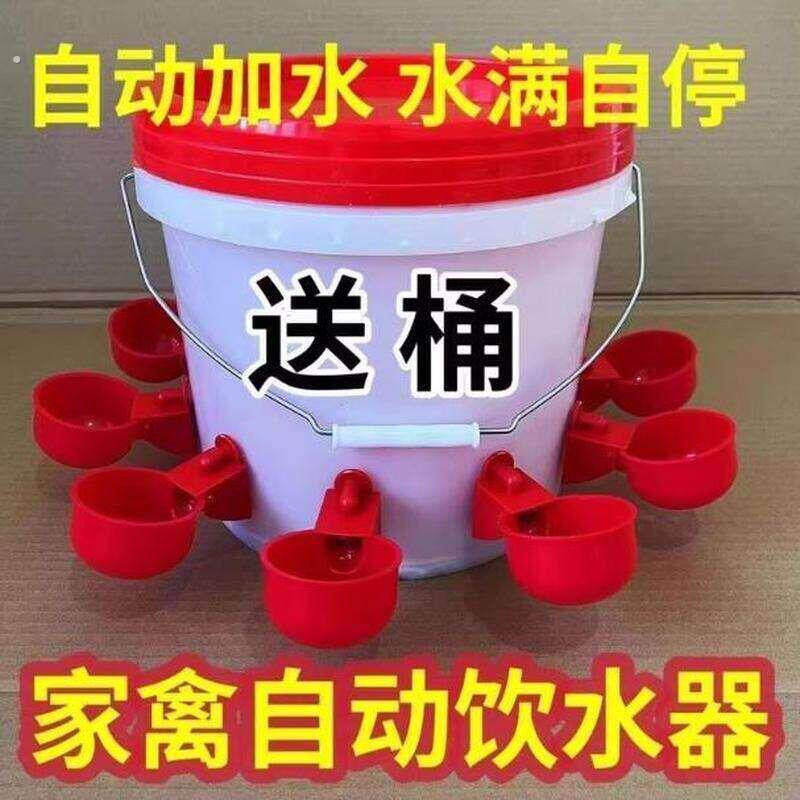 喂鸡食槽水槽一体喂鸡懒人神器出远门农村自动喂鸡家禽养殖小鸡鸭