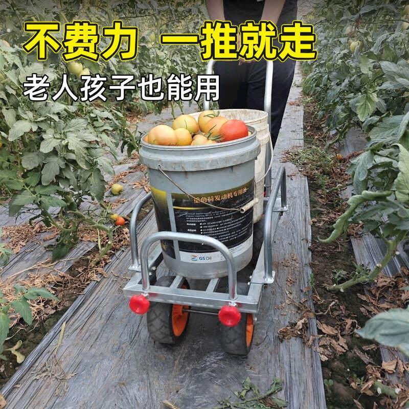 大棚菜地果园瓜果蔬菜运输采摘车 8寸越野宽轮胎可推拉家用手推车