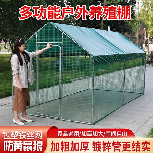 鸡棚子室外组装鸽笼专用棚大型鸡窝农场养鸡养殖户带顶钢管简易棚