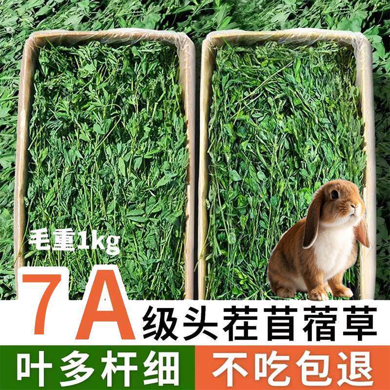 25年兔草烘干苜蓿草兔子草料龙猫牧草兔粮豚鼠饲料干草毛重1000克