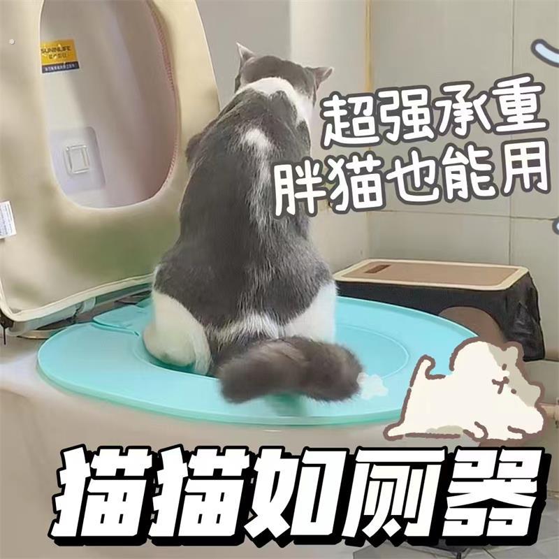 冲水式猫厕所防臭全自动双层引导蹲坑不用猫砂的猫厕所训练器蹲坑