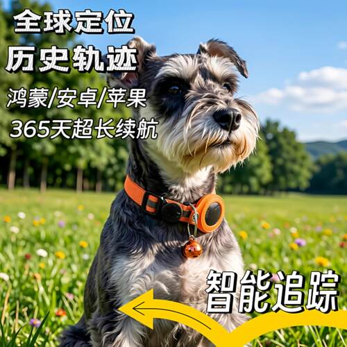 定位项圈狗狗宠物小猫咪牌防走丢失神器可装定位器反光颈圈追踪器