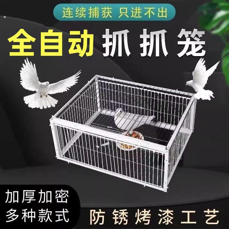 捉神器鸽子笼只进不出自动收活络门款室外加厚加密撞门天落笼