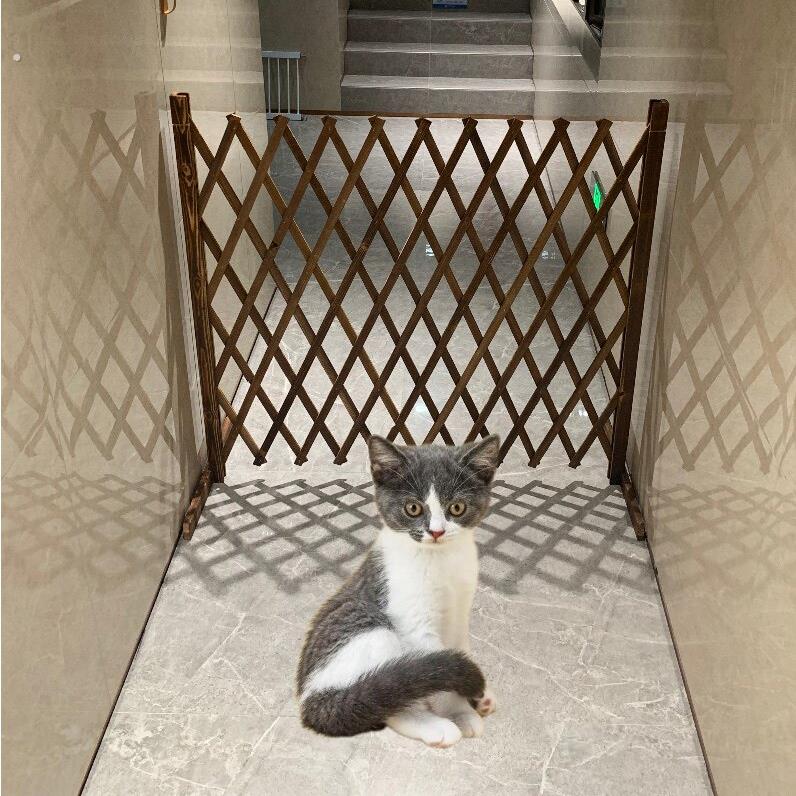 防腐木栅栏隔离门户外室内伸缩隔断拦猫拦狗兔栅栏挡板隔离网门栏