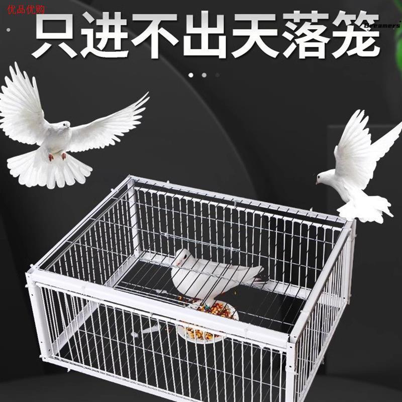 新款加密天落鸽子笼祇进不出自动撞门笼四面埋伏诱捕笼鸽子厂家