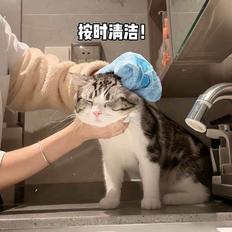 【清洁小猫毛巾】猫咪搓澡巾手套巾强吸水速干狗狗洗澡去灰神器