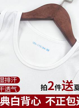 际华制式白背心夏季男款白色体能训练服背心吸汗透气纯色打底背心