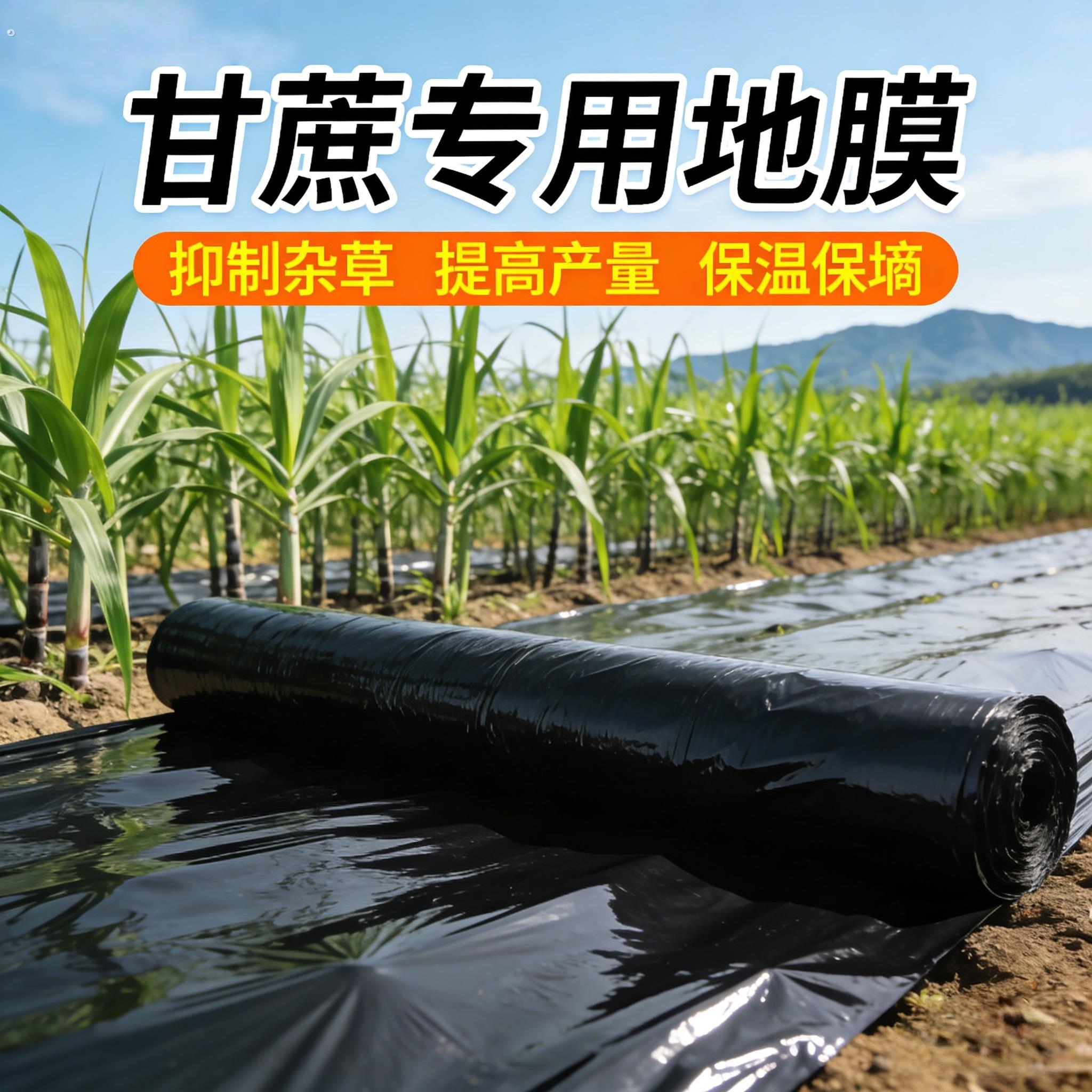甘蔗专用地膜黑色加厚农用种植甘蔗薄膜小菜园盖菜防长草定制